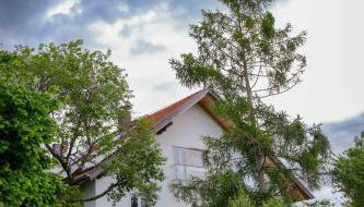 Roger`s Ferienwohnung - Foto 2