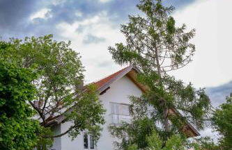 Roger`s Ferienwohnung - Foto 2