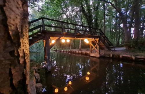 Ferienwohnung bei Hartmann`s - Foto 15