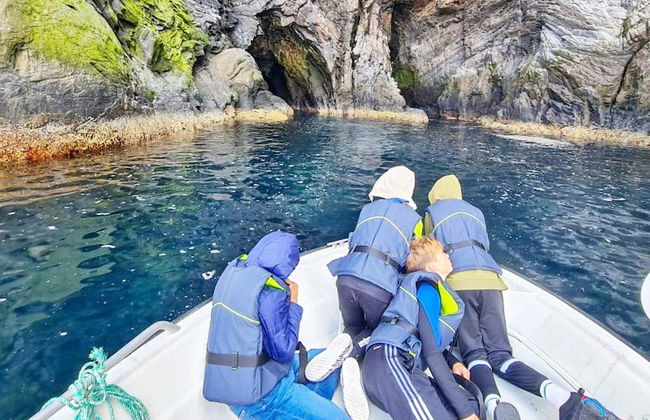 8 Person Holiday Home in Bolandet-by Traum - Foto 19