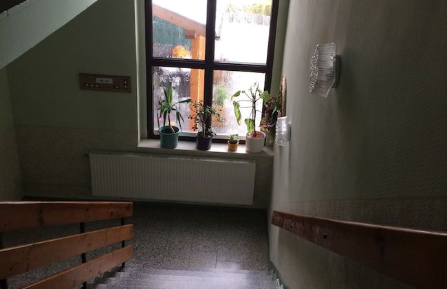 Landhotel Elterlein - Photo 28