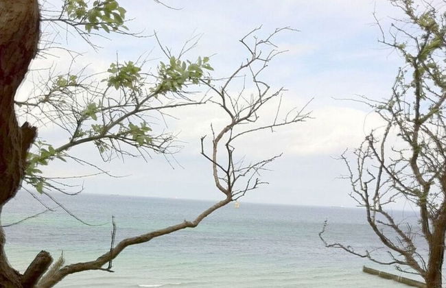 2 in the Baltic Sea Villa Gesine - Foto 9