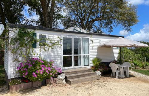 Casa Floravista - Foto 2