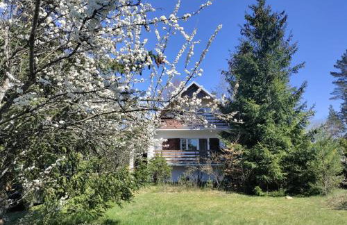 Widny Jaś zaprasza z psem nad jezioro na Kaszubach - Photo 1