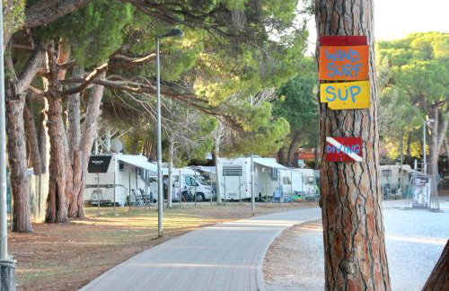 Apartman Dino - Foto 38