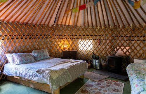 Hapus Yurt - Two Beautiful Yurts and Barn Cottage - Foto 15