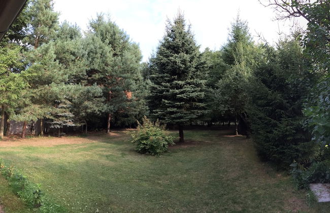 Ferienhaus Mirow-Lärz - Kamin Wald Ruhe - Foto 47