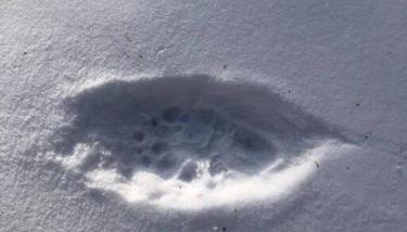 Hawkeyes Rest - Foto 4