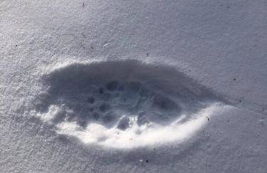 Hawkeyes Rest - Foto 4