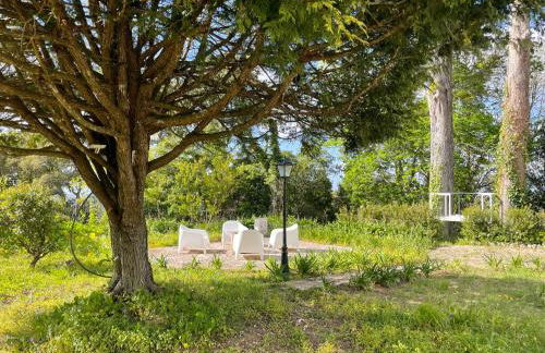 Cedros Nature House - Foto 14