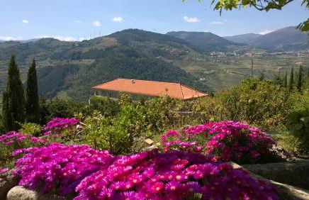 Casa da Eva at Terrus Winery - Foto 15