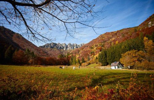 Le Terre di Gu - Photo 19