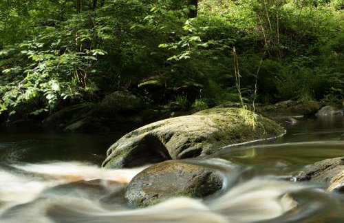 Ferienhaus Vennblick - Foto 48