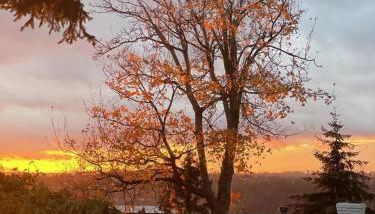 Family Retreat w Lake & Mt & City View Gym MI - Foto 4