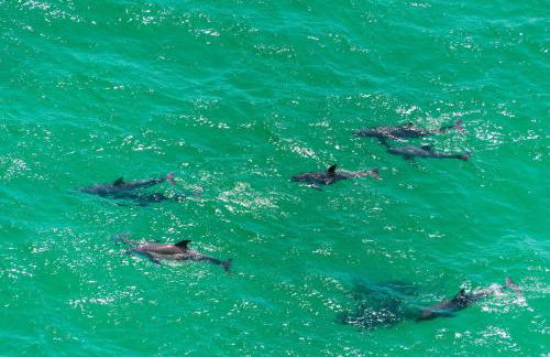 Chateau la mer 16e - Foto 44