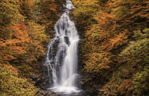 Taigh Beag 3 Birnam Place Pitlochry - Foto 14