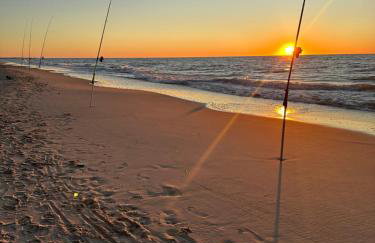 Morski Las - Foto 75