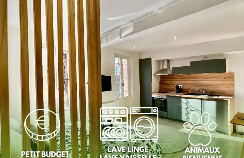 Studio proche Cancéropôle et Univ Jean Jaurès - Foto 1