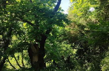 Appartamento Il Castagno - Foto 15