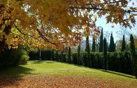 Tenuta i Massini - Foto 59