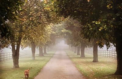 Potcote farm stables accommodation fudges stable - Photo 1