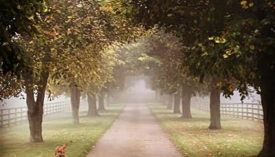 Potcote farm stables accommodation fudges stable - Photo 1
