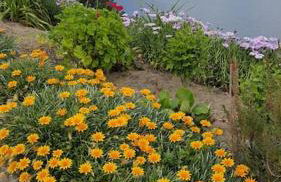 Casa das Oliveiras, o Douro no seu esplendor! - Foto 27