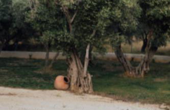 Blue Waves Luxury Suites by the Sea - Foto 76