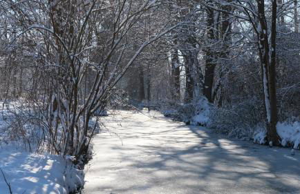 HOFSTELLE No. 133 - Photo 42