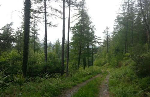 Ty Capel Isa - Foto 23