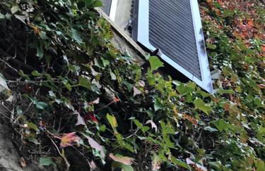 Tre Girasoli - Foto 8