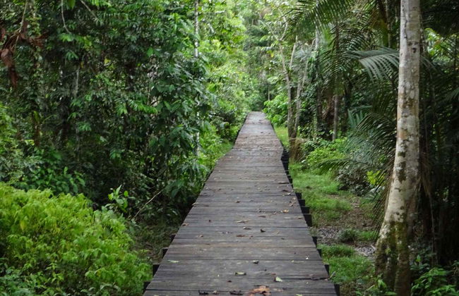 Senderismo por el Parque Natural Amacayacu - Foto 1