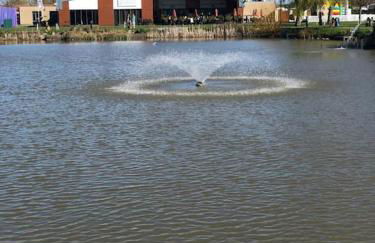 17 Sherringham Patrington Leisure Park private garden, parking, views - Foto 13