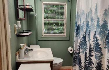 Cozy 3 Bedroom House in Downtown Ithaca - Foto 12