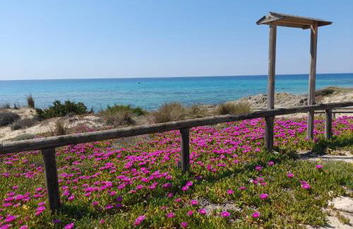 Home Salento 1 - Foto 7