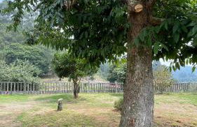 Terra Alta do Furnia - Foto 50