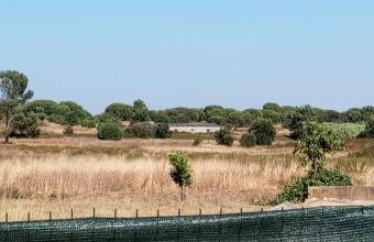 Casa Ladino no Campo - Foto 54