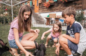 Fewo Stork - Foto 34