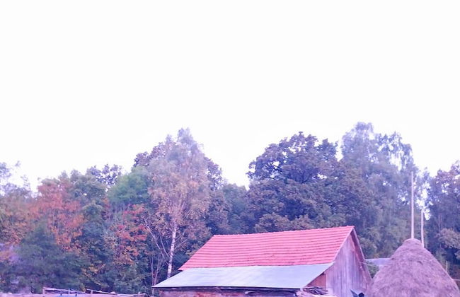 Rustic Wild Retreat IN Romania - Foto 72