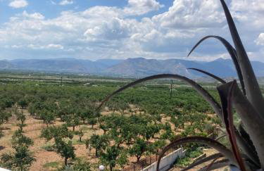 Enchanting Mycenae - Your Greek holiday retreat - Foto 28