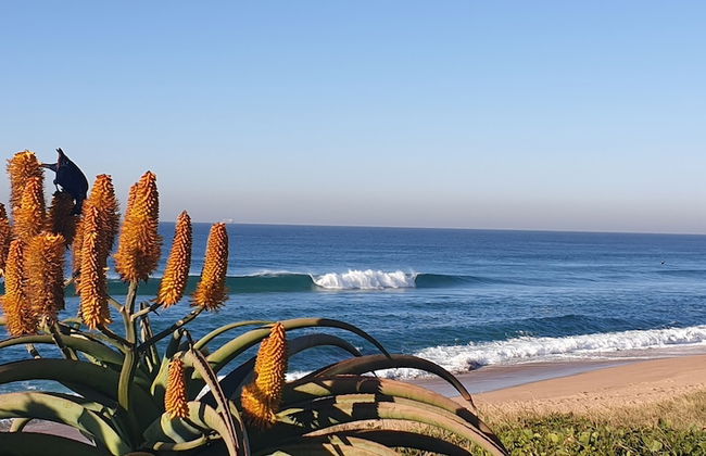 401 Umdloti Beach Resort - Foto 18