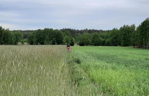 Domek Drewniany - Foto 23