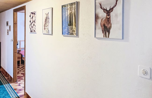 Les Grangettes - Photo 22