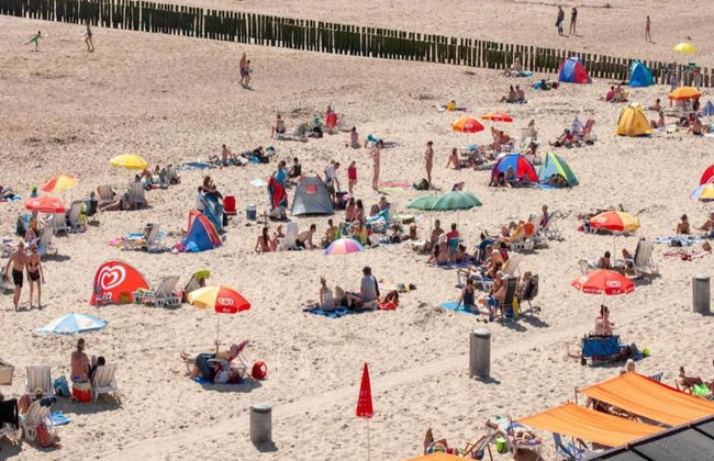 Modern Stay Near the Beach - Photo 40