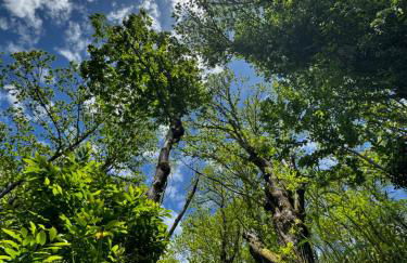 A Barreira -Lar da cima- - Foto 51