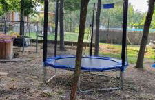 Agriturismo - La capra amaltea - Foto 38