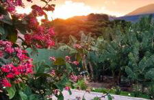 Mountain View Chalé alto padrão em condomínio - Photo 3