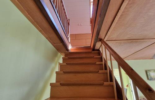 Ostseekrabbe - Foto 10