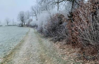 Fewo Allezeit Sauerland - Foto 39