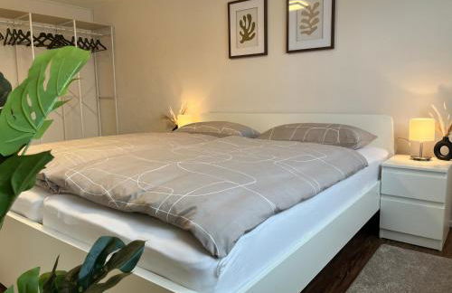 Wohlfühl Appartment - Wohnen auf Zeit - Netflix - Foto 10